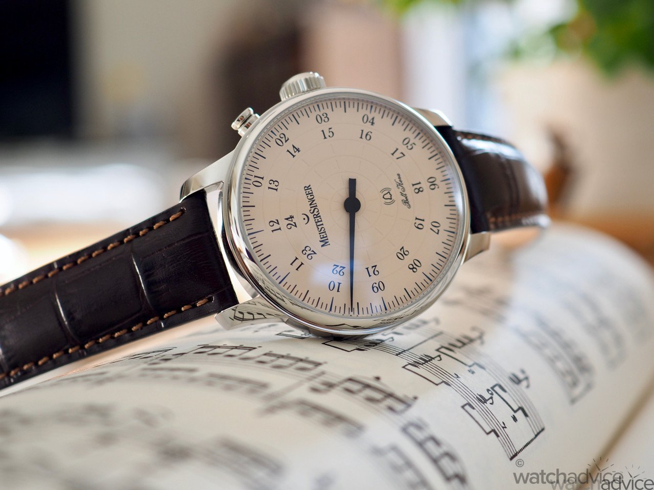 Review: MeisterSinger Bell Hora - Worn & Wound